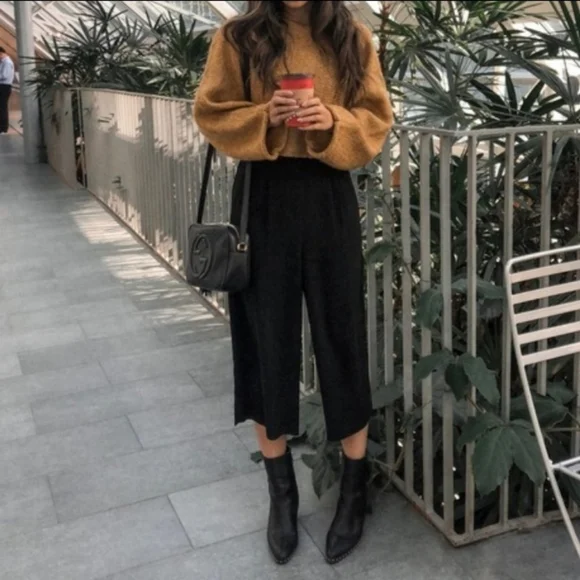 ARITZIA Babaton Lazarus Culottes - Picture 5 of 6